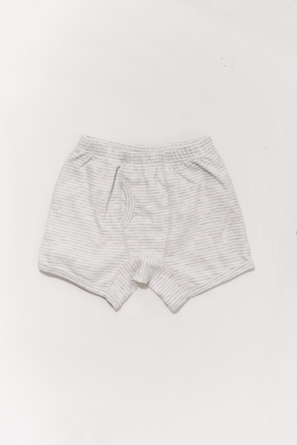 Logo Striped Boxer Briefs 2-pack