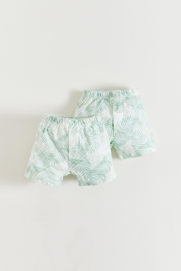Set Boxer x2 Leaves