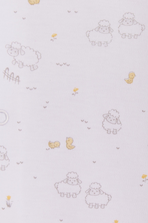 Enterito Sheep