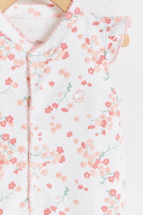 Enterito Jane Blossom