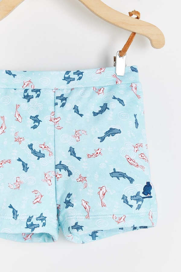 Short Beach Tom Koi