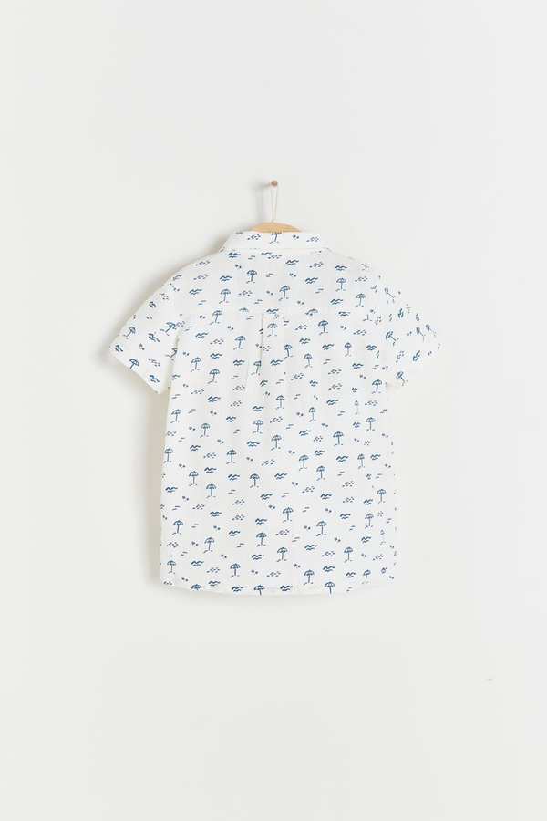 Camisa Thomas Palms