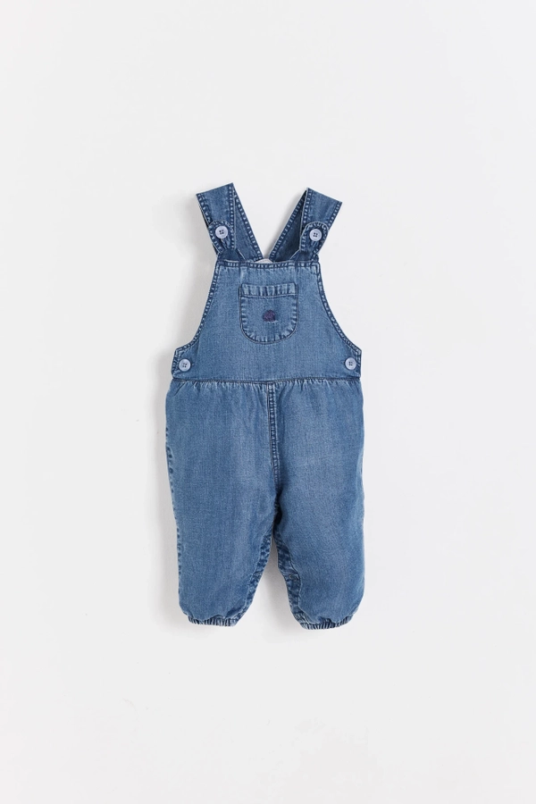 Overall Ray Comfy