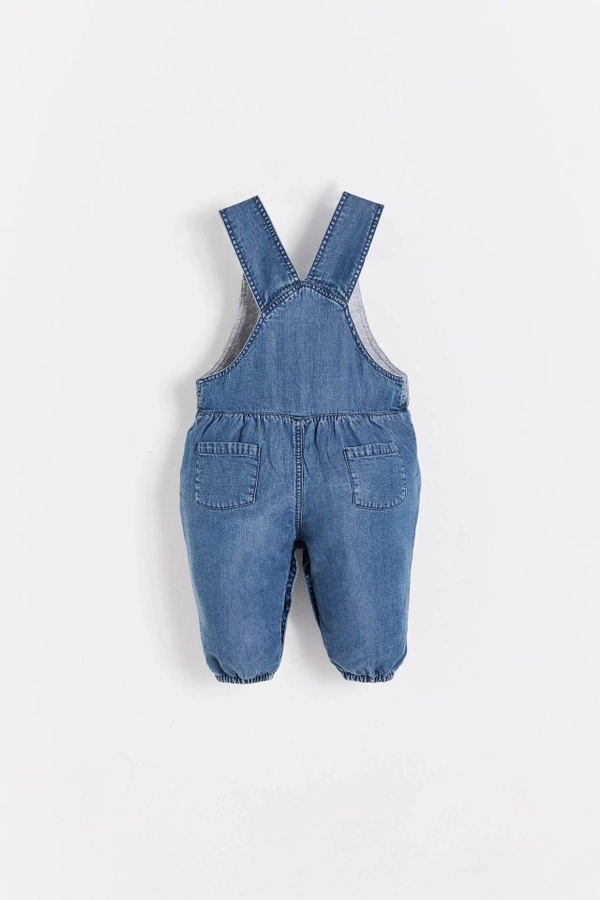 Overall Ray Comfy