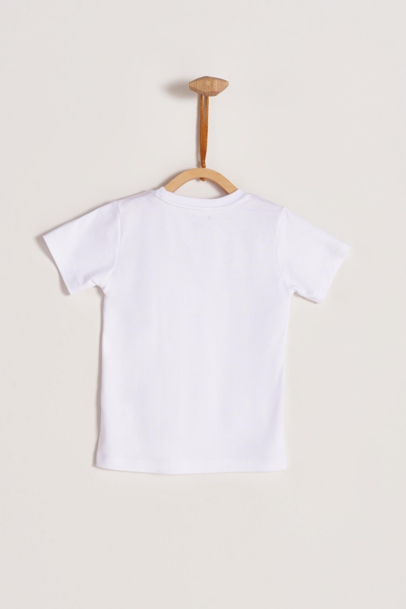 Remera Pima Colors